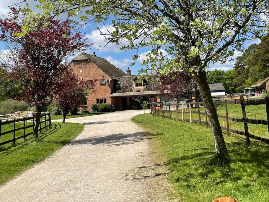 Self Catering Apartment, Jurassic Coast/Dorset Wareham Exterior foto